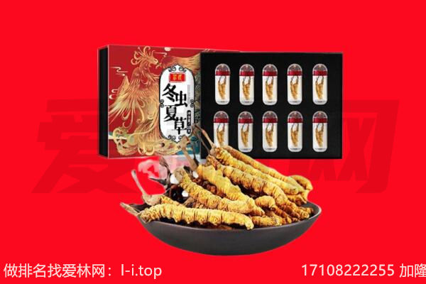 湛江回收虫草.jpg
